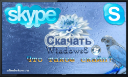 Skype-скачать-для-windows-7-последнюю-версию